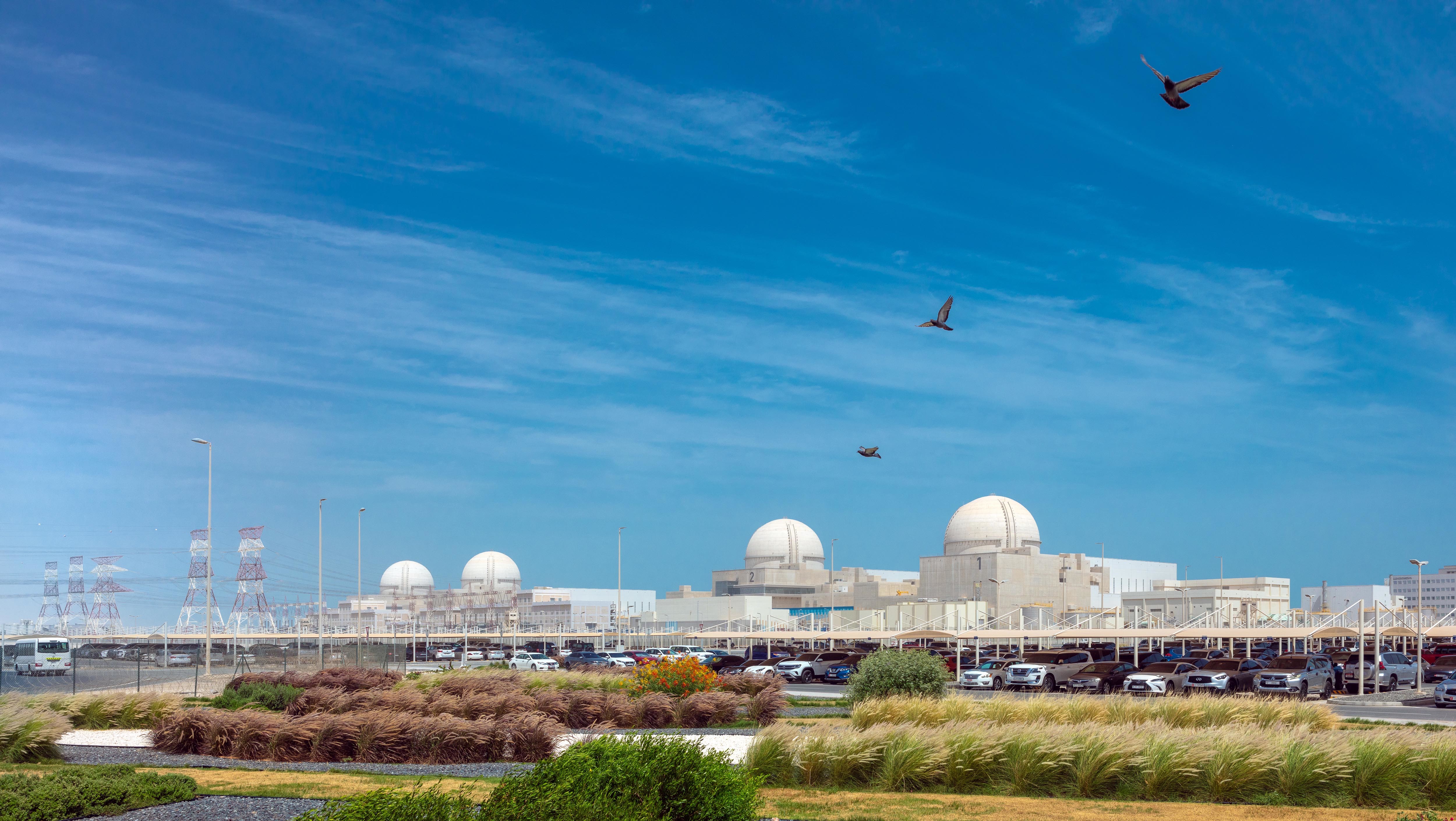 barakah-nuclear-energy-plant-6630ad721ead7.jpg (original)