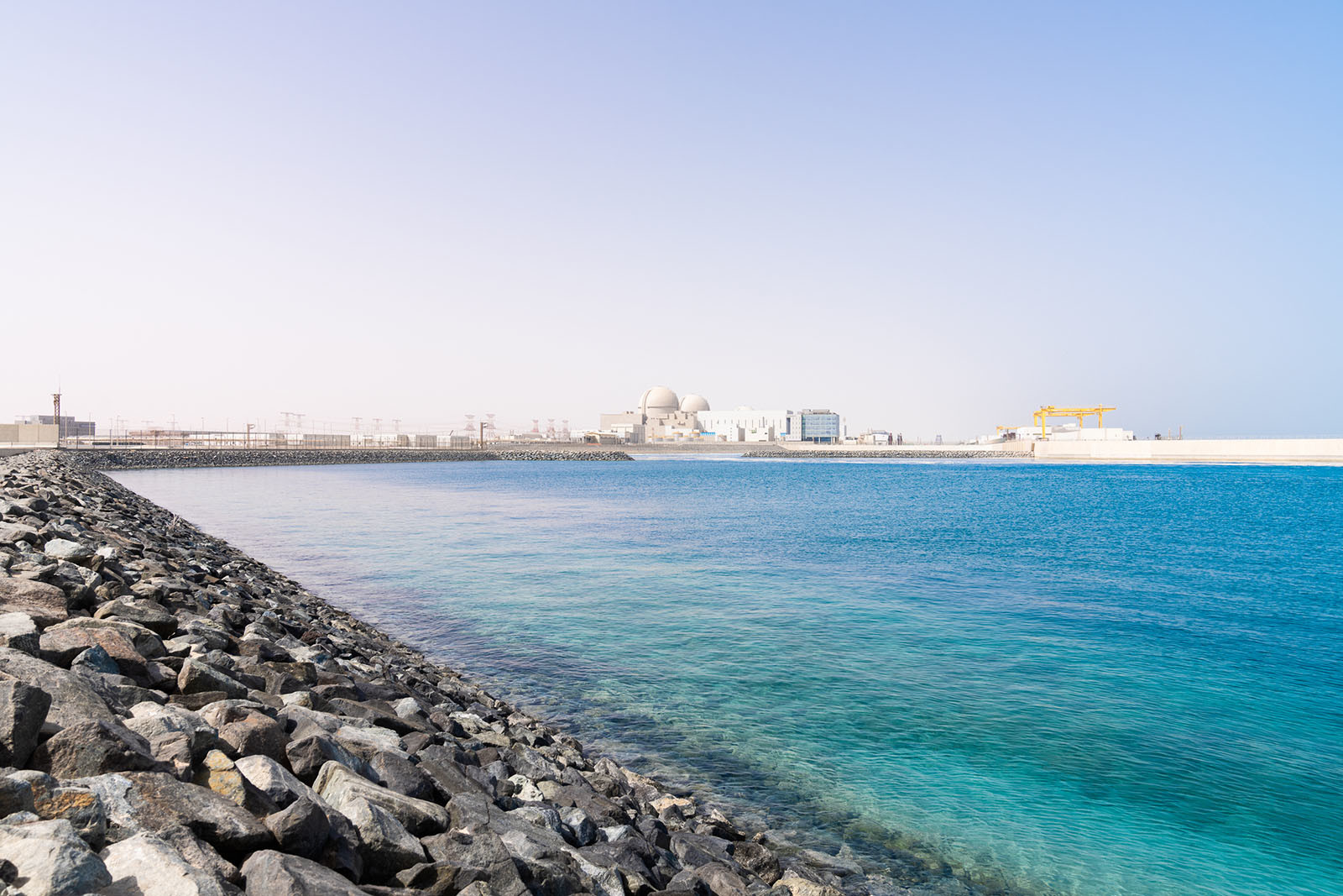 barakah-plant-13-69833f1c0efc0.jpg (original)